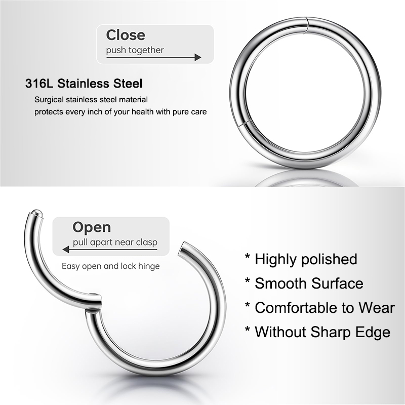 16G 316L Surgical Steel Hinged - Body Jewelry And Piercing review and price
