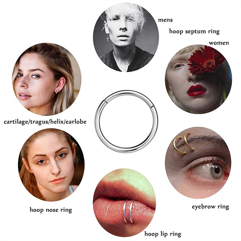 16G 316L Surgical Steel Hinged - Body Jewelry And Piercing review and price