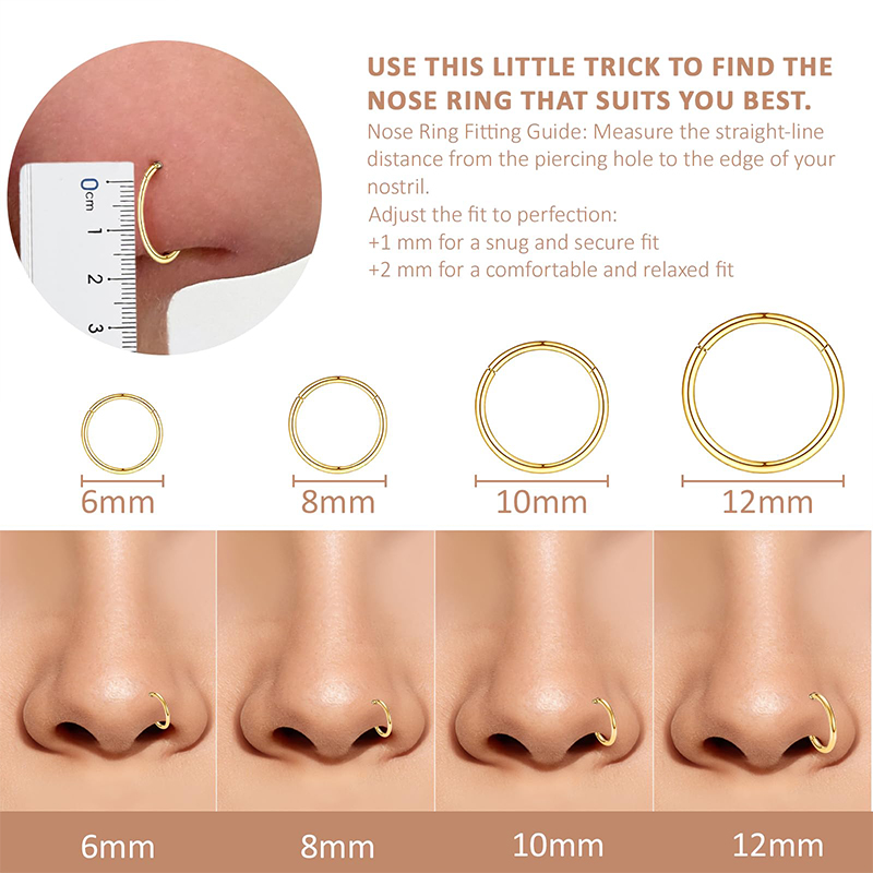 16G 316L Surgical Steel Hinged - Body Jewelry And Piercing review and price