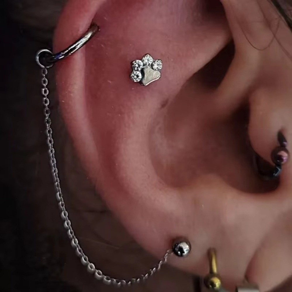 Titanium Nose Chain Three Laye - Body Jewelry And Piercing review and price