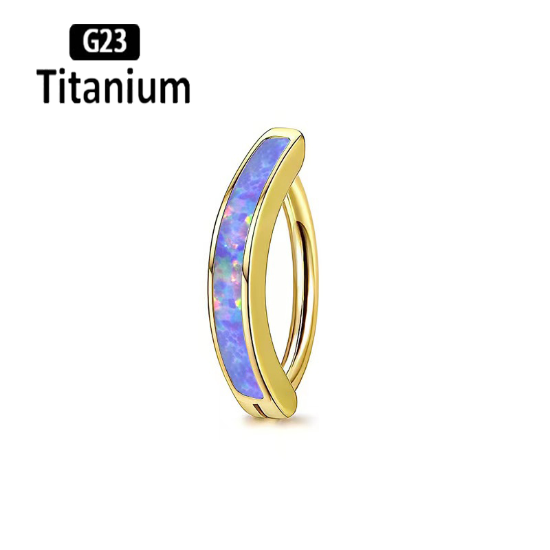 1PC 14G Implant Grade G23 Tita - Body Jewelry Implant Grade Titanium review and price