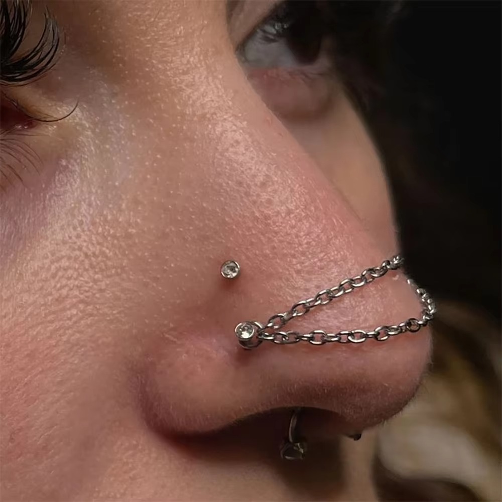 Fashion Titanium Nose Chain Do - Body Jewelry And Piercing review and price